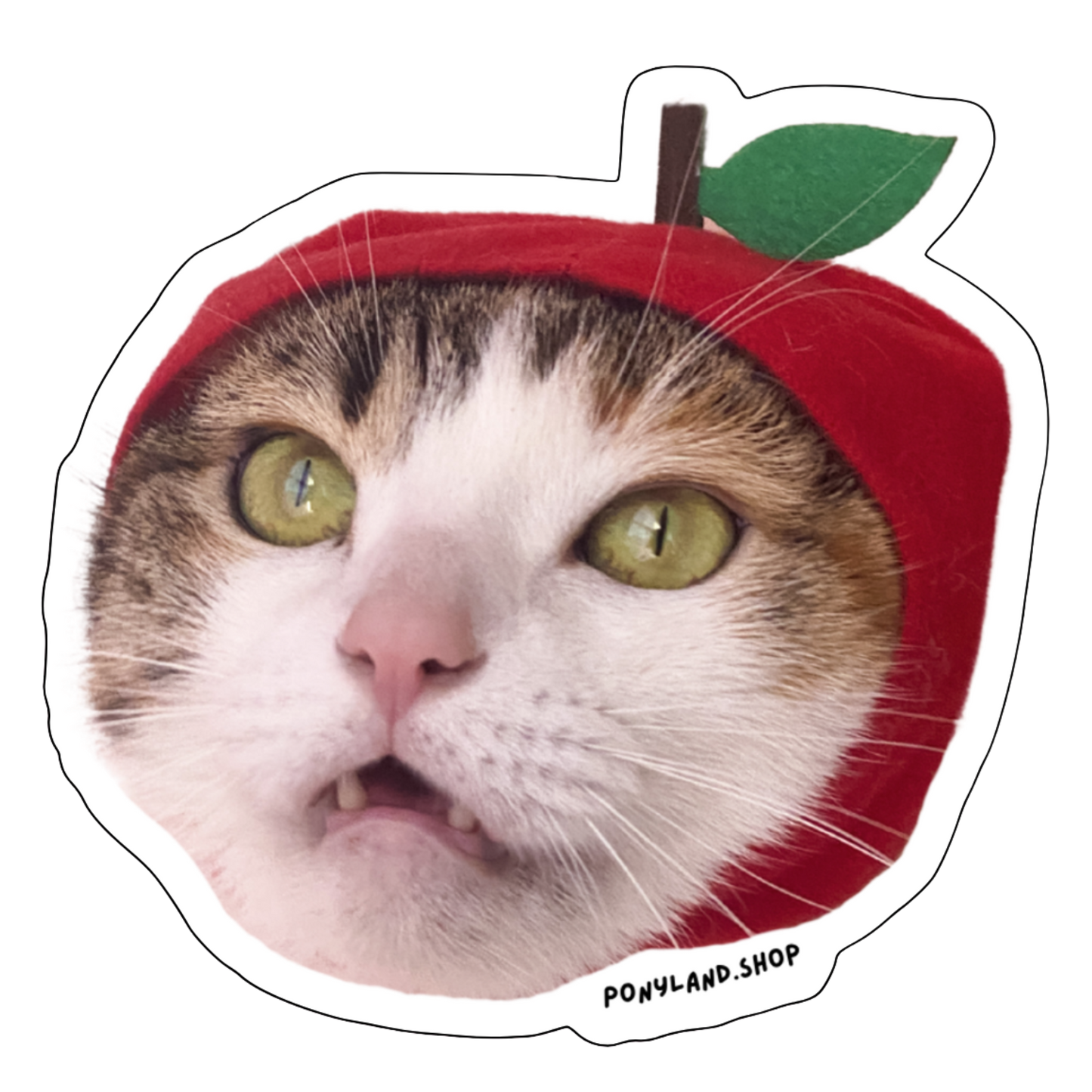 'Derpy Apple Head Pony' Sticker