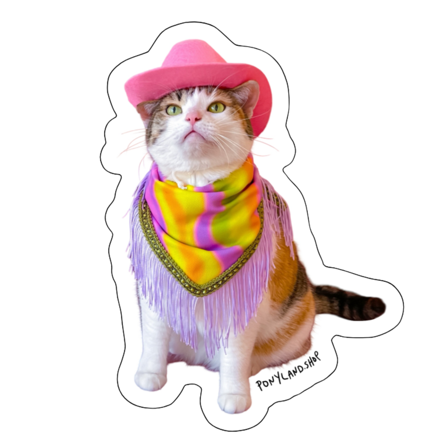 "Cowgirl Pony" Waterproof UV Vinyl Sticker