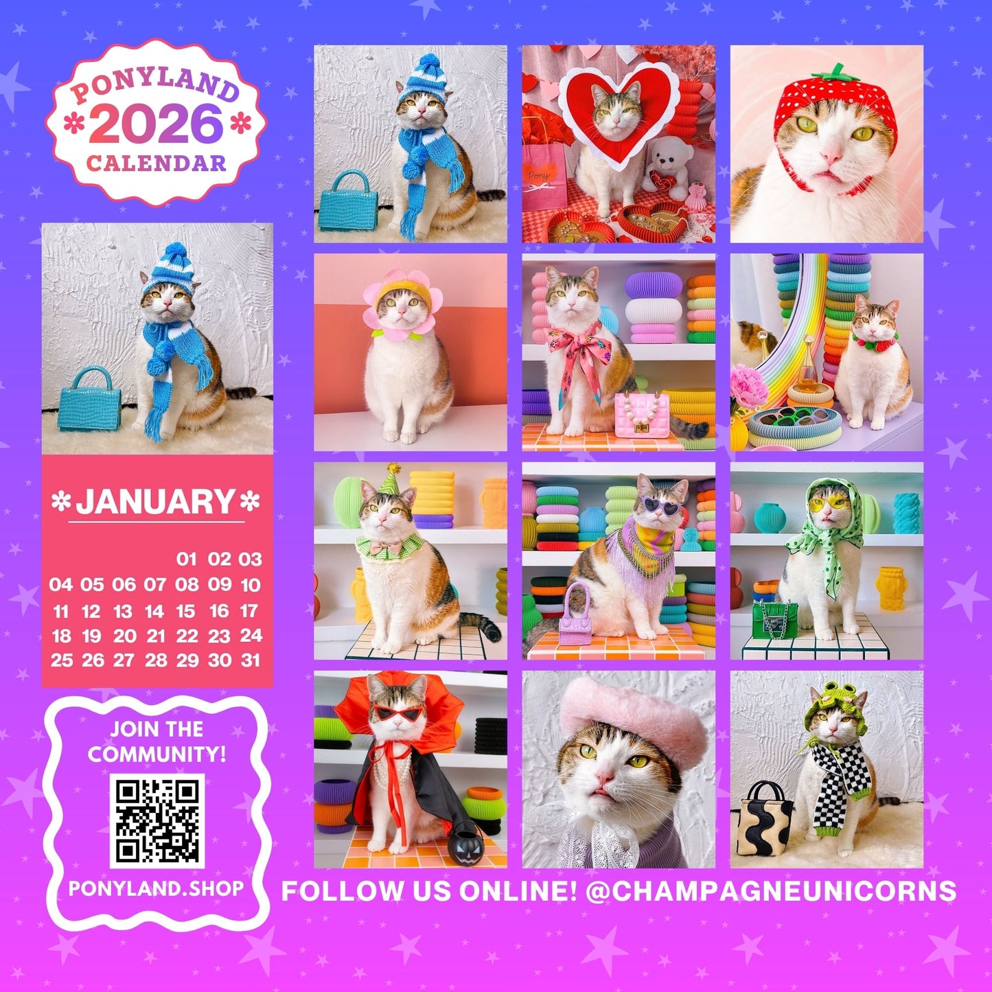 2026 PONYLAND CALENDAR