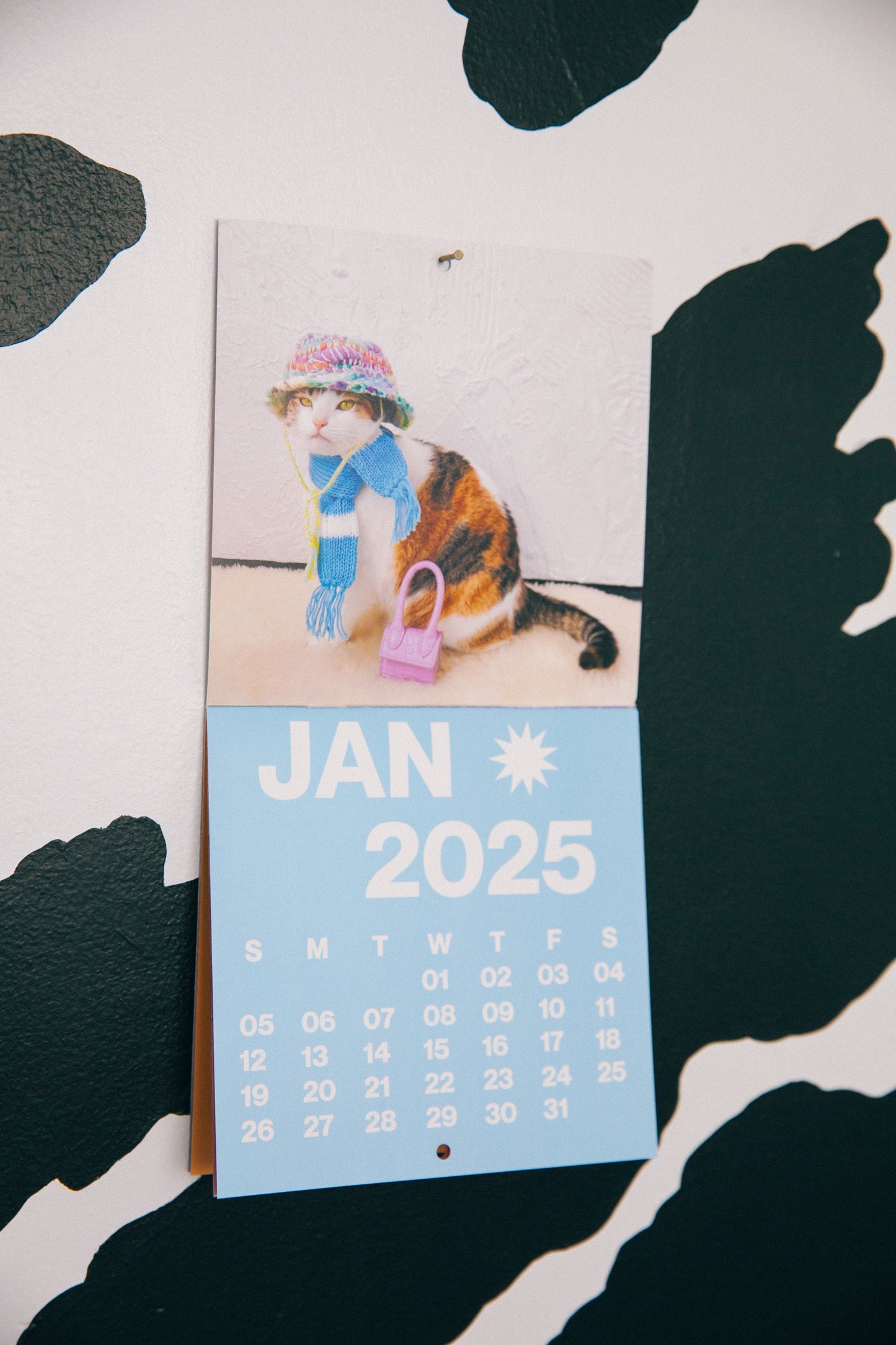 2025 PONYLAND WALL CALENDAR