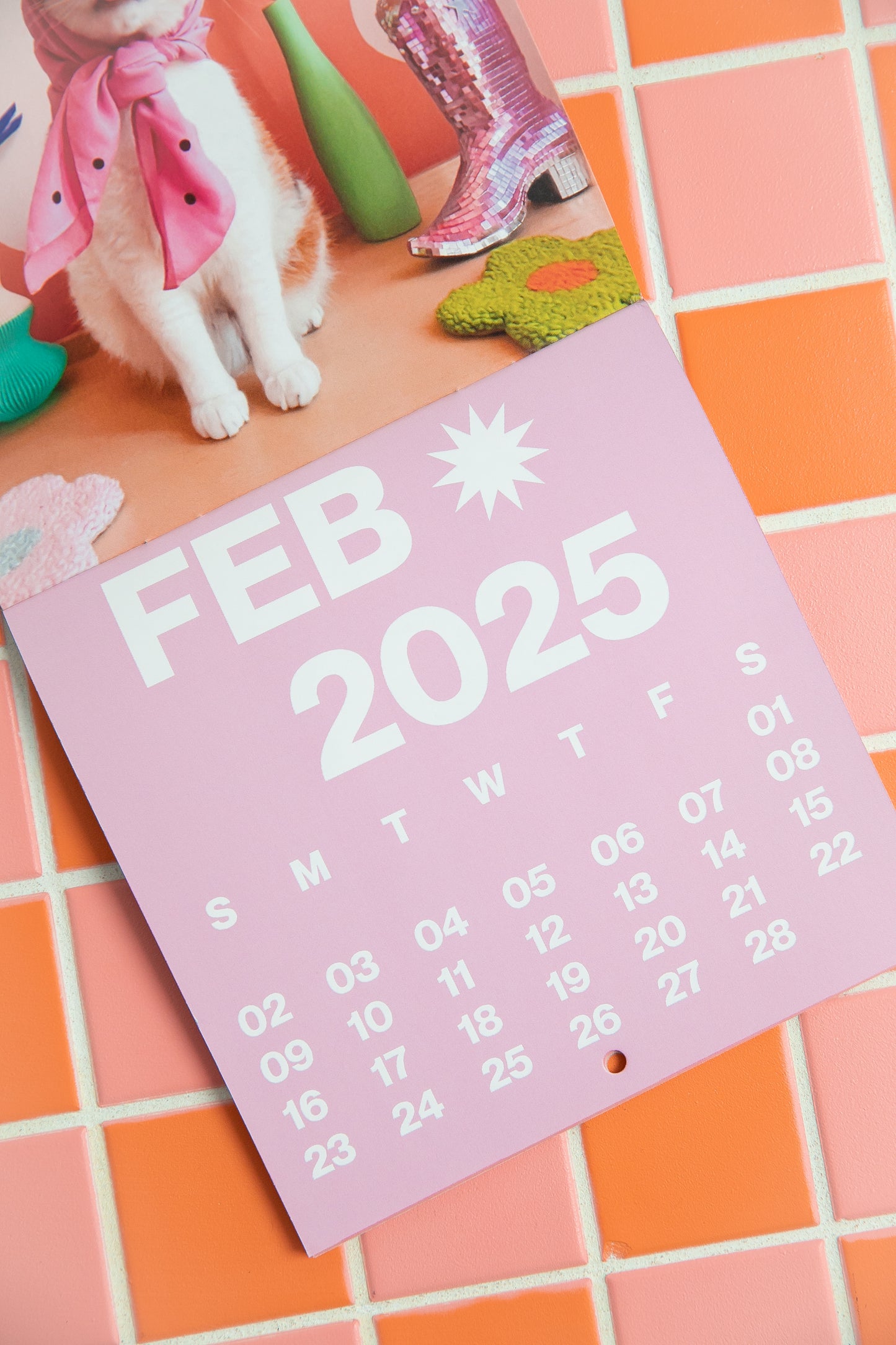 2025 PONYLAND WALL CALENDAR