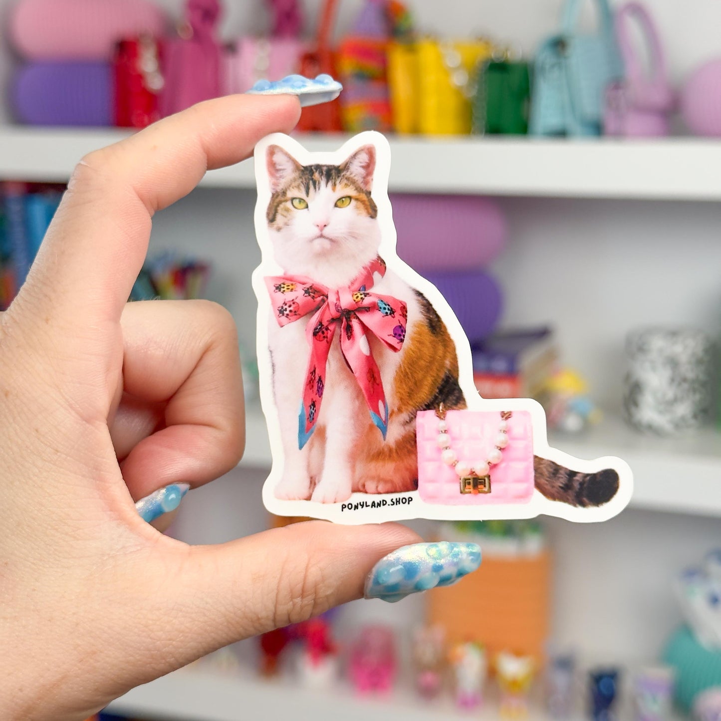 'Little Lady Pony' Sticker