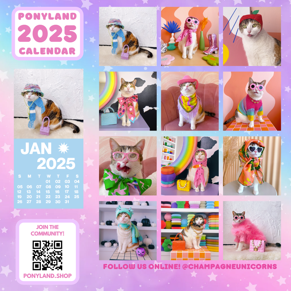 2025 PONYLAND WALL CALENDAR