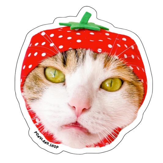 'Strawberry Head Pony' Sticker