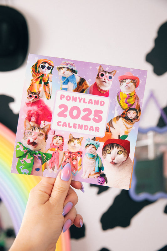 2025 PONYLAND WALL CALENDAR