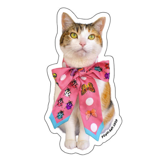 'Sittin' Pretty Pony' Sticker