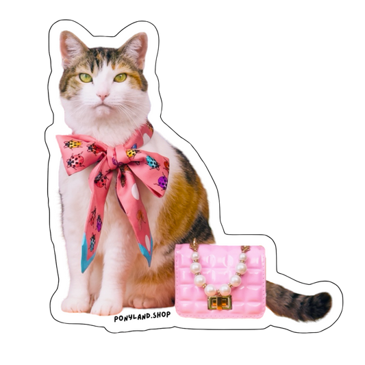 'Little Lady Pony' Sticker